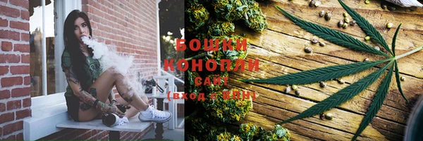 крисы Белоозёрский