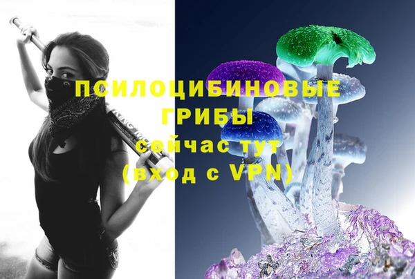 дмт Белокуриха