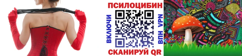 Псилоцибиновые грибы GOLDEN TEACHER  Купить где  Валуйки 